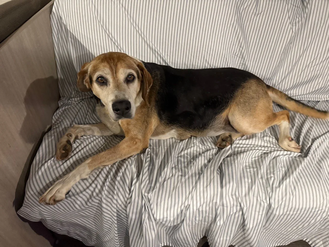 Happy relaxing on the camper sofa