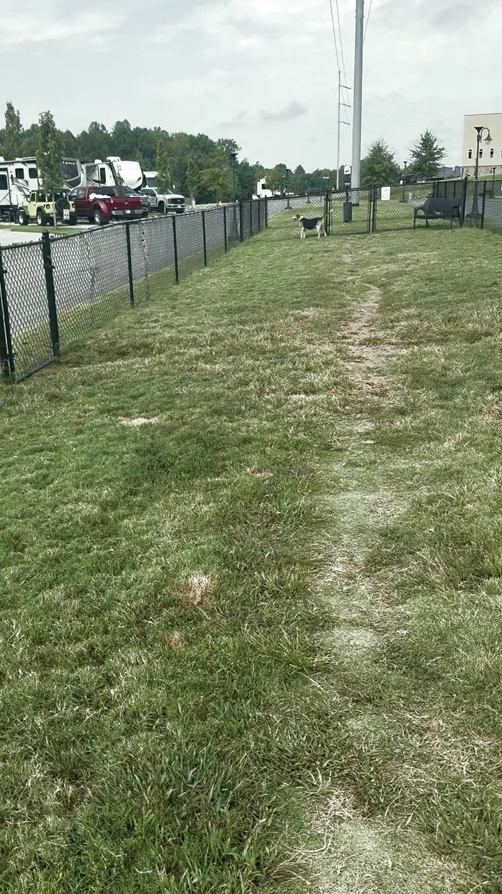 Fenced dog run at The Ridge