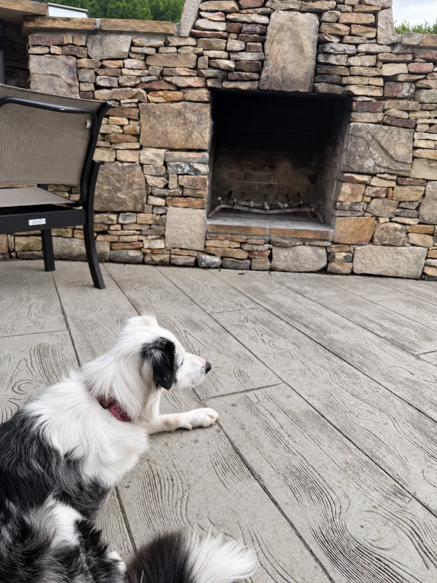 Dolly resting on the patio at our campsite